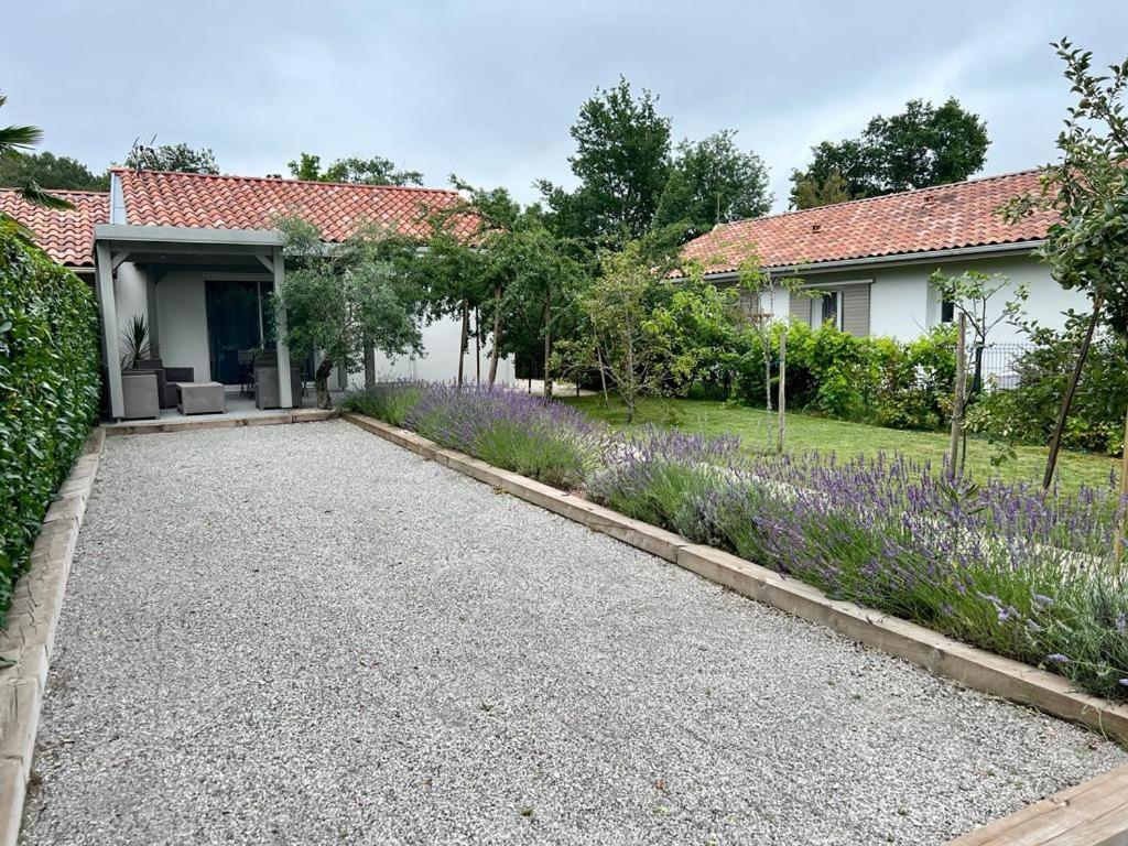 L'Olivier Villa Onesse-et-Laharie Eksteriør billede